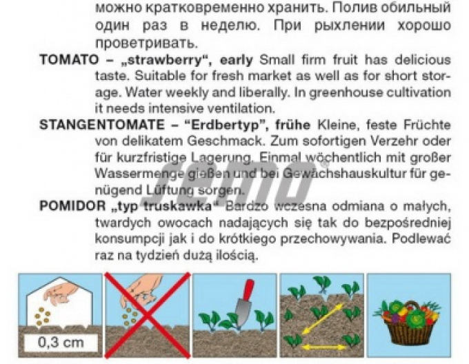 Semo Stabtomate Jahodo