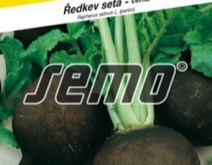 Semo Radieschen Panter