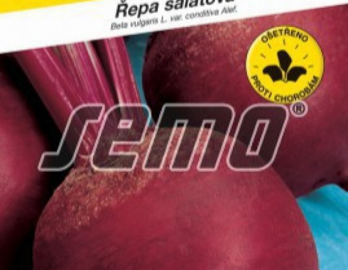 Semo Rote Bete Betina