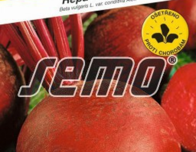 Semo Rote Bete Red round