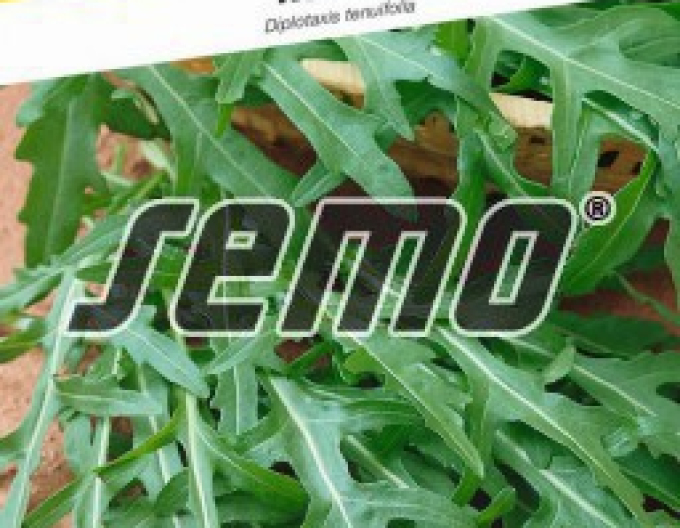 Semo Rucola Wild Rocket