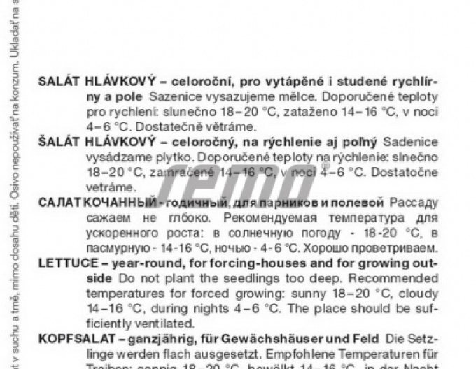 Semo Kopfsalat Kamenex