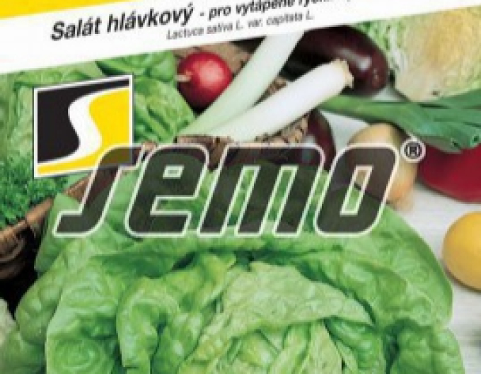Semo Salat zum Füttern Smaragd S