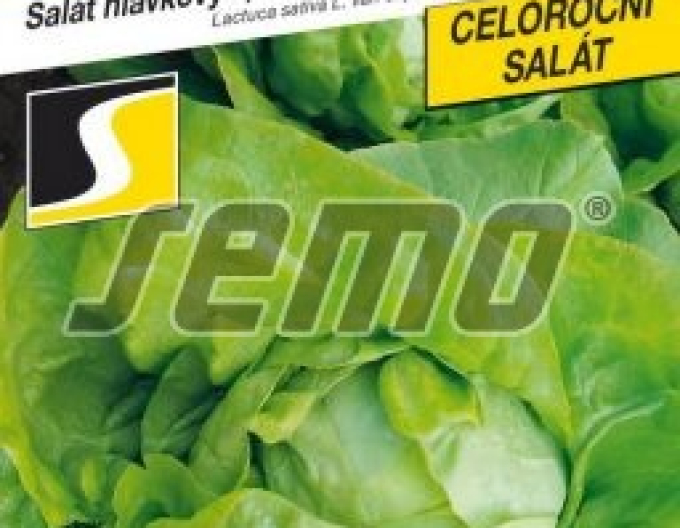 Semo Kopfsalat Smaragdus