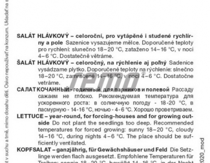 Semo Kopfsalat Smaragdus