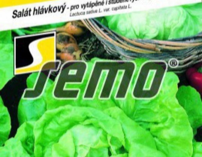 Saatgut Salat zur Befruchtung von Neferin