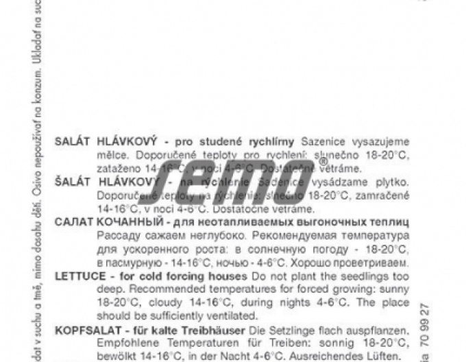 Semo Kopfsalat Sapphire