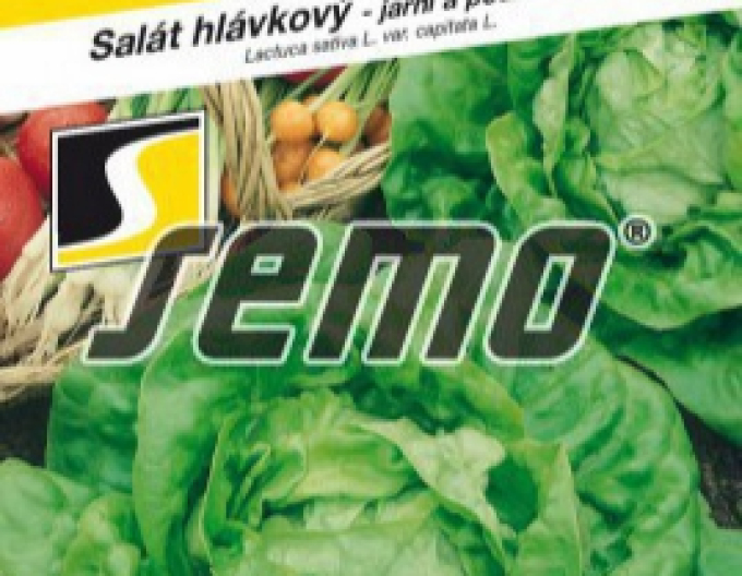 Saatgut Frühlingssalat Major