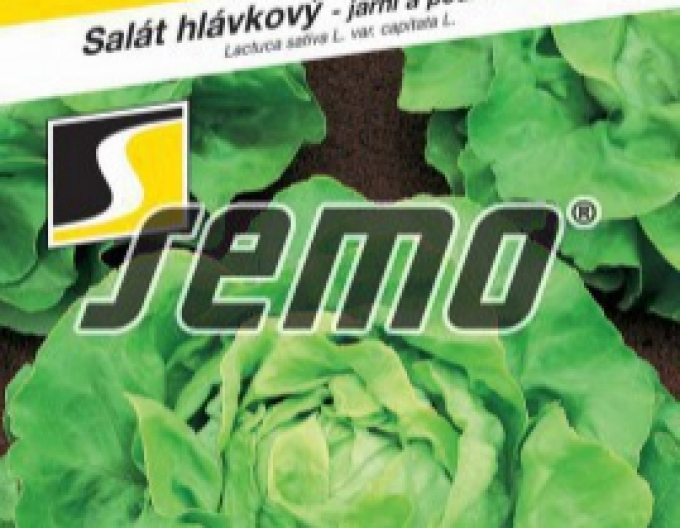 Semo  Kopfsalat Deon