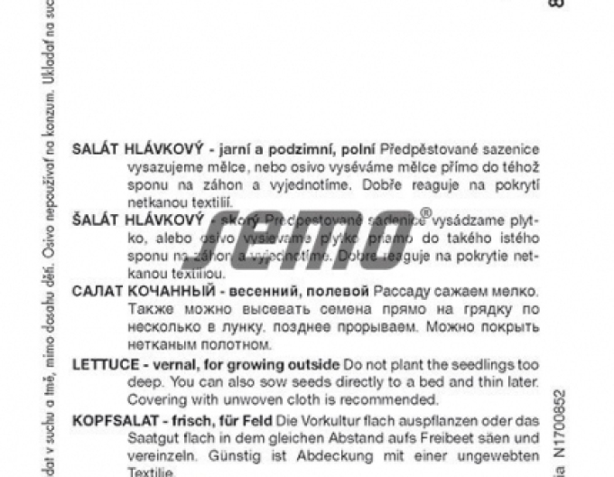 Semo Kopfsalat Pharaon