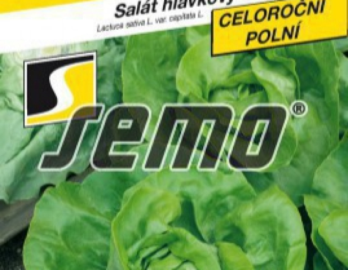 Semo Kopfsalat Marshallus