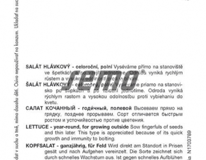 Semo Kopfsalat Marshallus