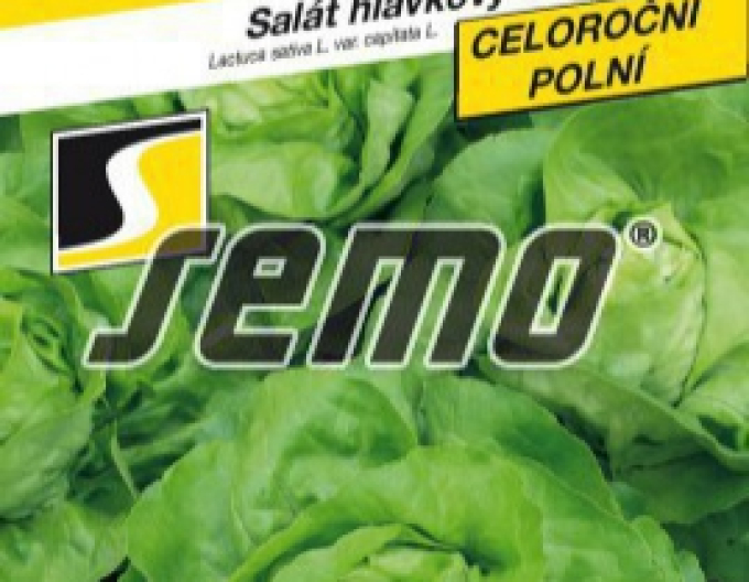 Semo Kopfsalat Mercurion
