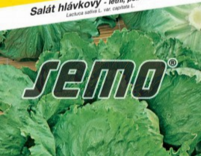Semo Sommersalat Prazan