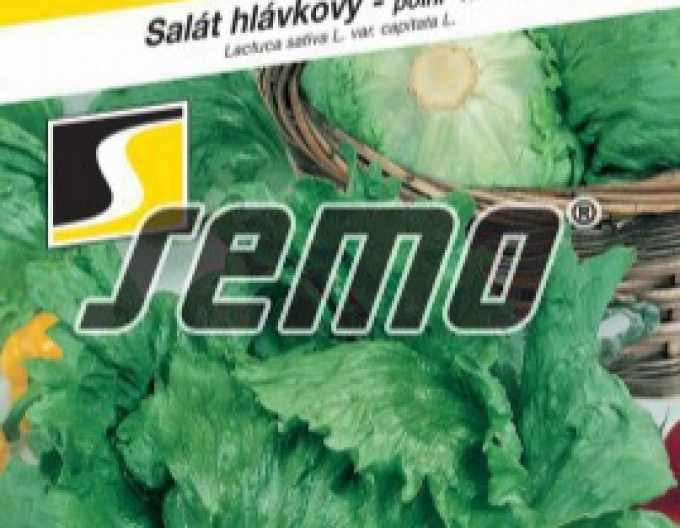 Semo Sommersalat Maximo
