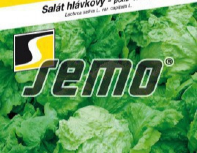 Semo Sommersalat Ledano