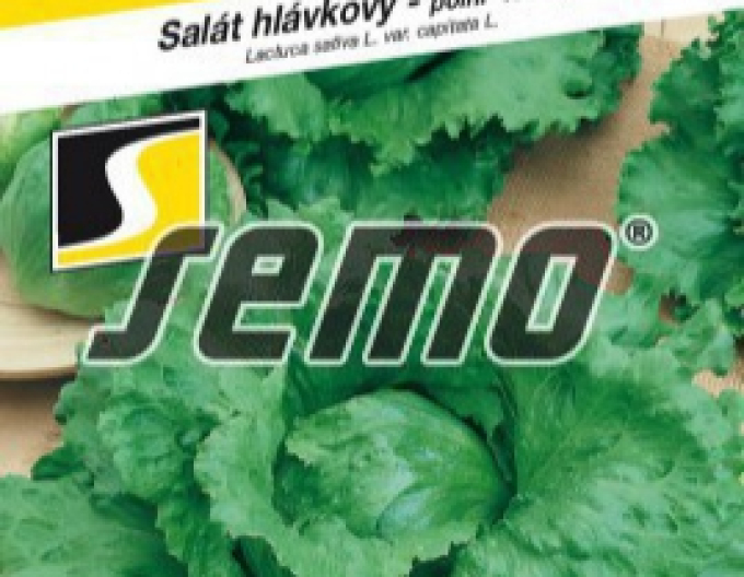Semo Sommersalat Medimo