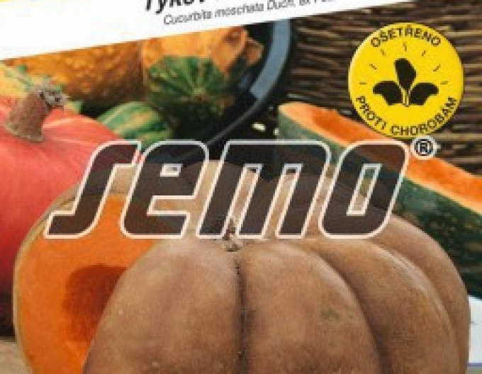 Semo Muskatkürbis Moscata di Provenza