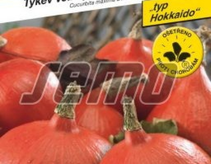 Semo Riesenkürbis Solor F1