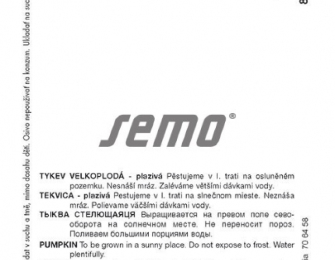 Semo Riesenkürbis Solor F1