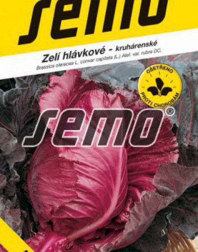 Saatgut Rotkohl Kalibos