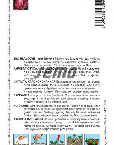 Saatgut Rotkohl Kalibos