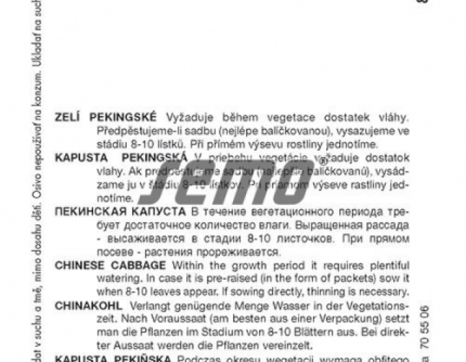 Saatgut Grünkohl Pekinská Parkin F1