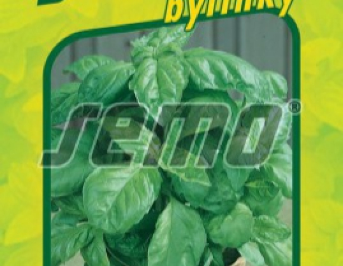 Semo Basilikum ´Lettuce Leaf´