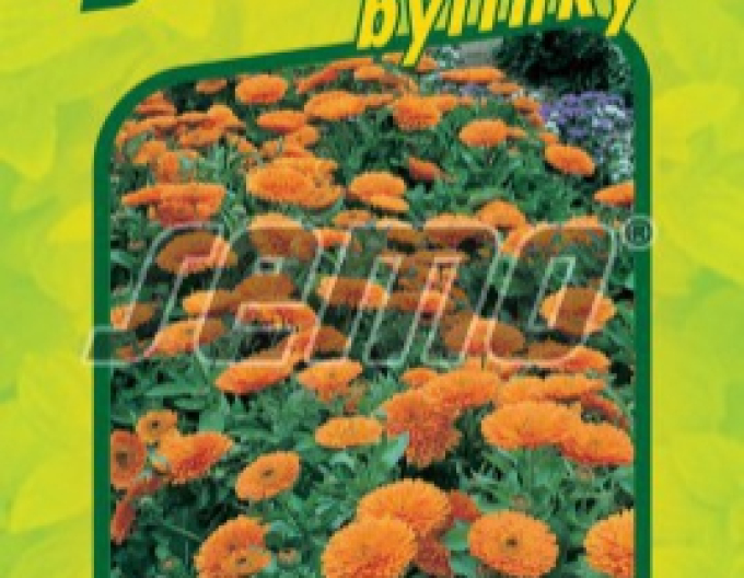 Semo Ringelblume