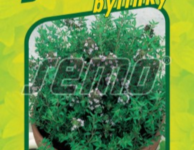 Semo Thymian