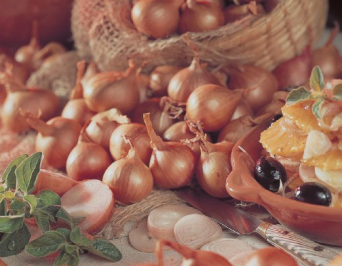 Zwiebel Schalotten Red Sun 0,25kg