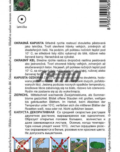 Semo Zierkohl Mix