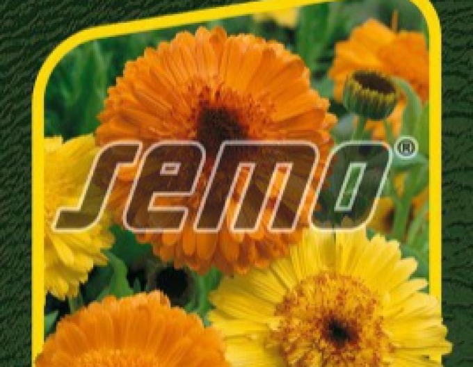 Semo Ringelblume Cablouna