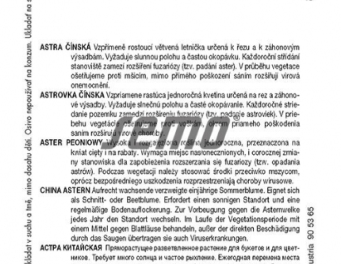 Saatgut Astra china American Beauty Blend