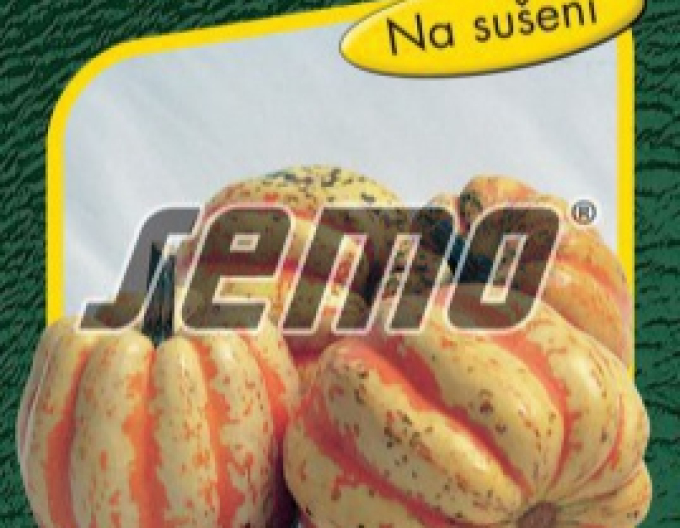 Semo Zierkürbis Celebration