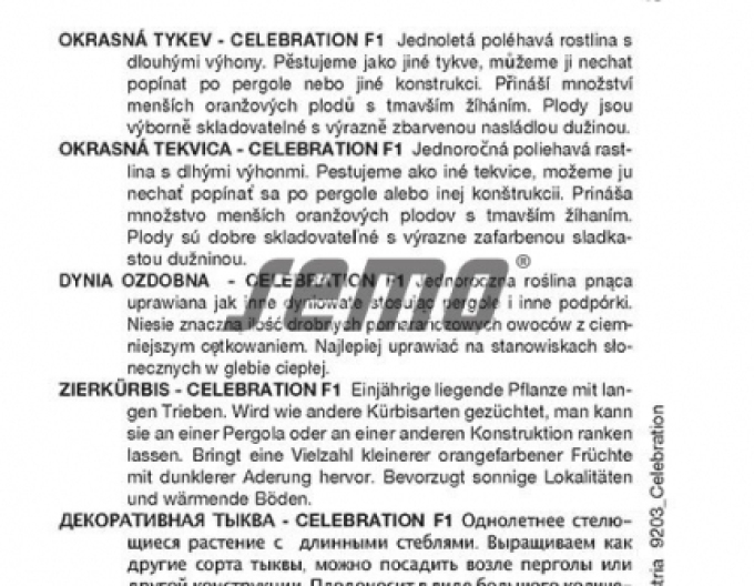 Semo Zierkürbis Celebration