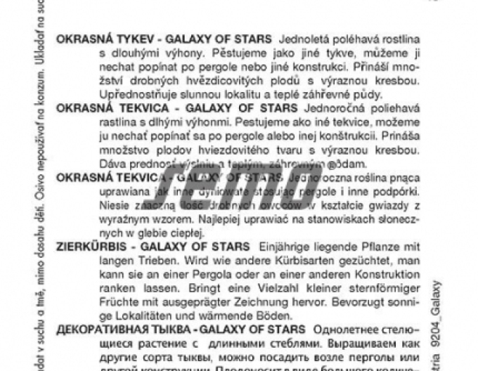 Semo Zierkürbis Galaxy of Stars