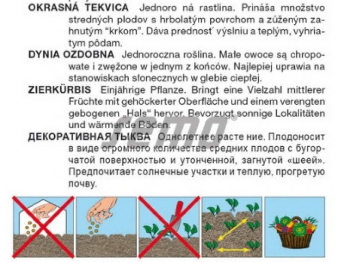 Semo Zierkürbis Ga Ga Ga Ga