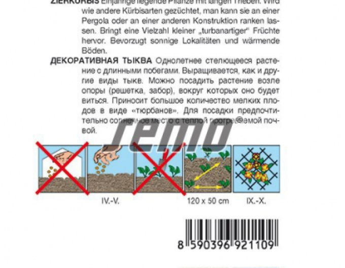 Semo Zierkürbis Mini Turban