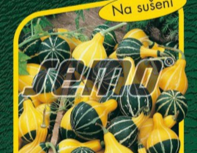 Semo Zierkürbis Pear Bicolor