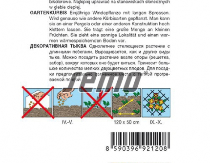 Semo Zierkürbis Pear Bicolor