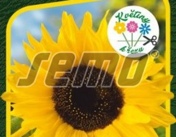 Semo Sonnenblume Sun