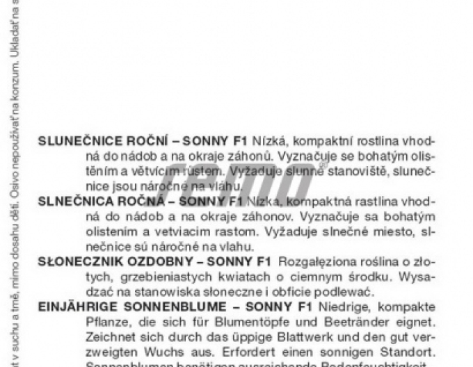 Saat-Sonnenblume einjährig Sonny F1