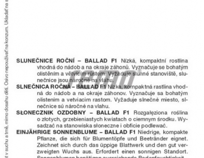 Semo Sonnenblume  Mezzulah F1
