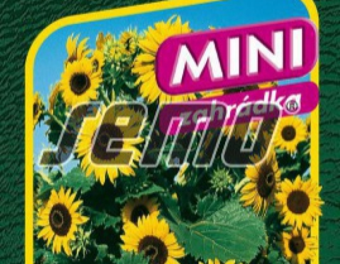 Semo Sonnenblume Waooh