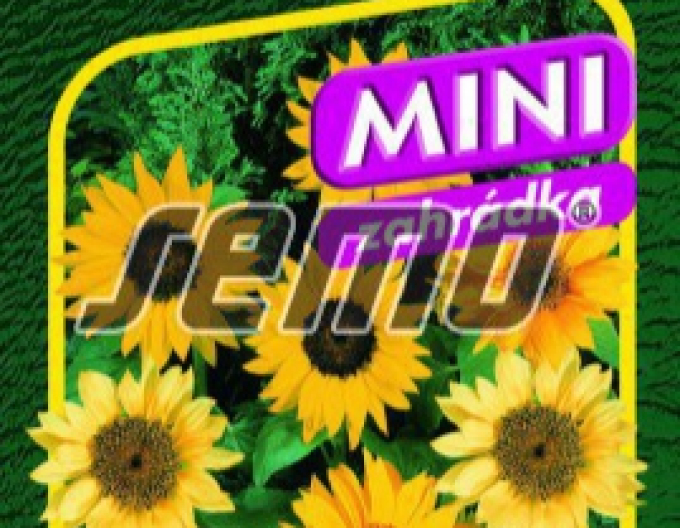 Semo Sonnenblume Pacino Mix
