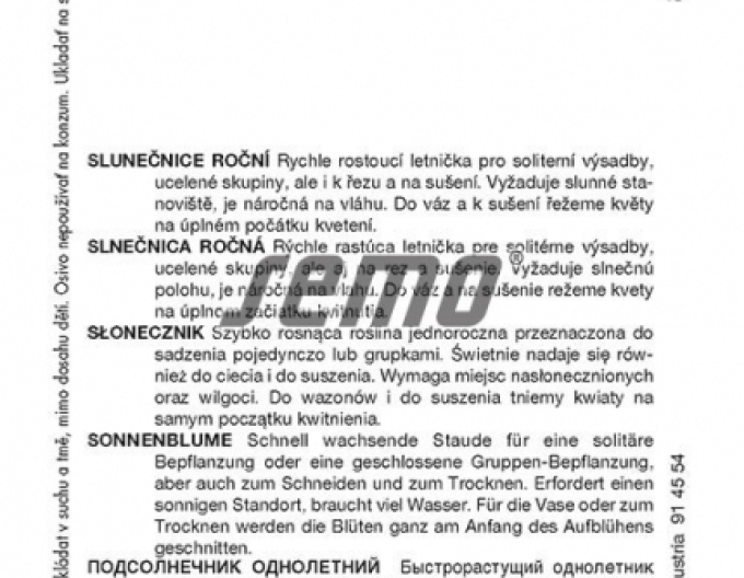 Semo Sonnenblume Teddy Bear