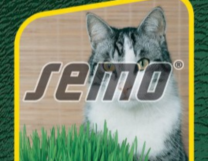 Semo Grass für Katzen