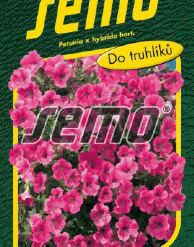 Semo Petunie Rose Vein Velvet F1