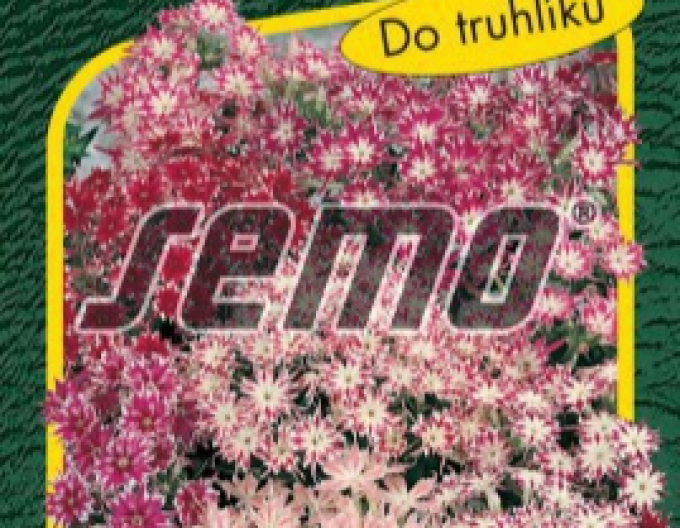 Semo Flox Cuspidata Mixtur